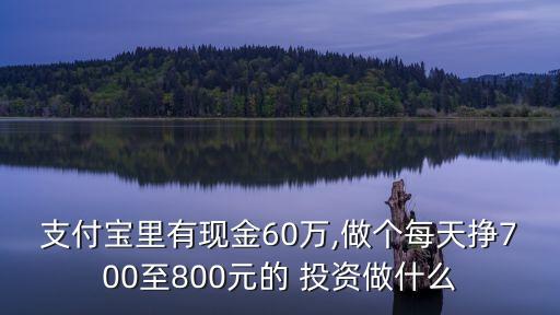 支付寶里有現(xiàn)金60萬(wàn),做個(gè)每天掙700至800元的 投資做什么