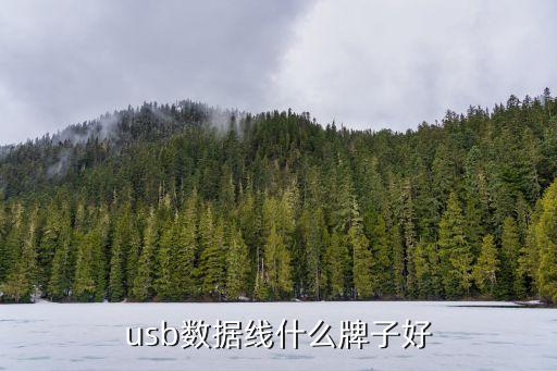 usb數(shù)據(jù)線什么牌子好