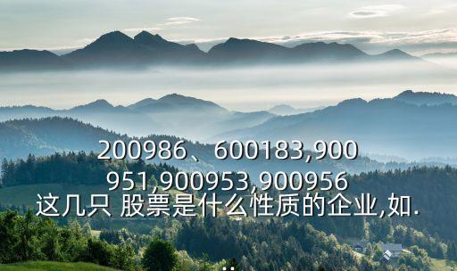 200986、600183,900951,900953,900956這幾只 股票是什么性質(zhì)的企業(yè),如...