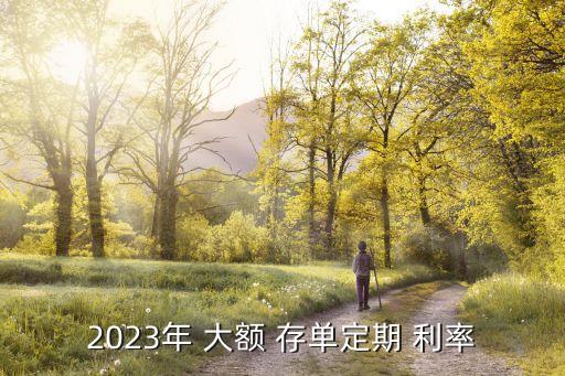 2023年 大額 存單定期 利率