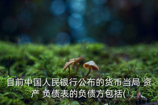 目前中國人民銀行公布的貨幣當(dāng)局 資產(chǎn) 負債表的負債方包括(