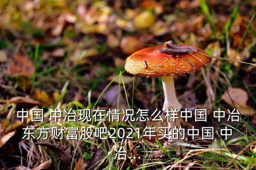 中國(guó) 中冶現(xiàn)在情況怎么樣中國(guó) 中冶東方財(cái)富股吧2021年買的中國(guó) 中冶...