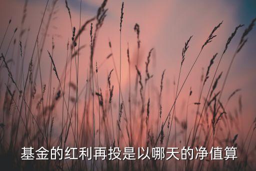 基金分紅再轉(zhuǎn)投資