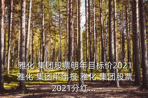  雅化 集團(tuán)股票明年目標(biāo)價2021 雅化 集團(tuán)半年報 雅化 集團(tuán)股票2021分紅...