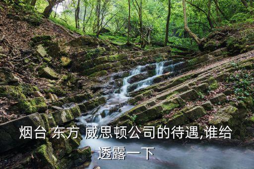 煙臺(tái) 東方 威思頓公司的待遇,誰(shuí)給透露一下