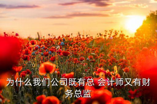 為什么我們公司既有總 會計師又有財務(wù)總監(jiān)