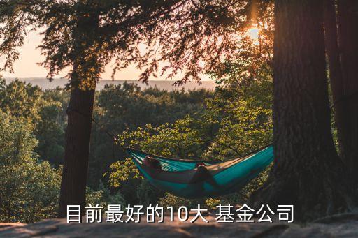 目前最好的10大 基金公司