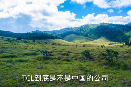 tcl集團(tuán)股份有限公司綜合評價,Tcl科技集團(tuán)股份有限公司