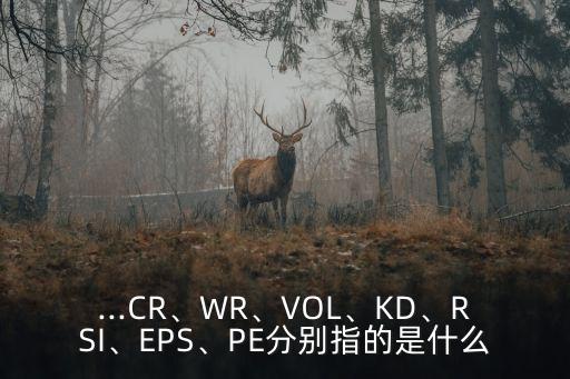 ...CR、WR、VOL、KD、RSI、EPS、PE分別指的是什么