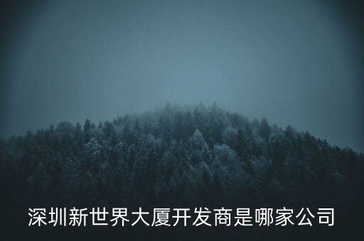 深圳新世界大廈開(kāi)發(fā)商是哪家公司