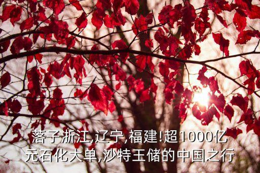 落子浙江,遼寧,福建!超1000億元石化大單,沙特王儲(chǔ)的中國(guó)之行