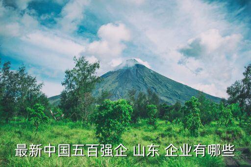 中國500強企業(yè)山東名單,山東世界500強企業(yè)有哪些