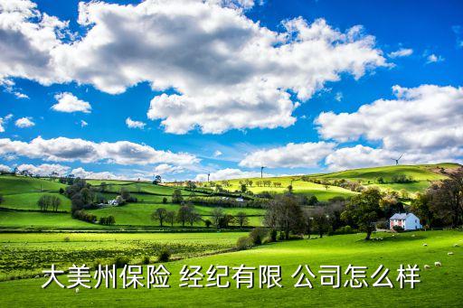 大美州保險 經(jīng)紀有限 公司怎么樣