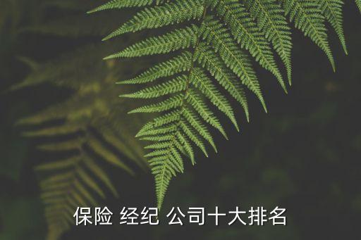 保險 經(jīng)紀 公司十大排名