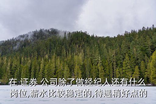 在 證券 公司除了做經(jīng)紀(jì)人還有什么崗位,薪水比較穩(wěn)定的,待遇稍好點的