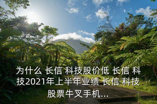 為什么 長(zhǎng)信 科技股價(jià)低 長(zhǎng)信 科技2021年上半年業(yè)績(jī) 長(zhǎng)信 科技股票牛叉手機(jī)...