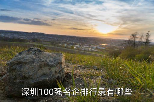 深圳100強(qiáng)名企排行錄有哪些