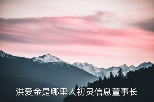 洪愛(ài)金是哪里人初靈信息董事長(zhǎng)