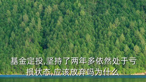  基金定投,堅持了兩年多依然處于虧損狀態(tài),應(yīng)該放棄嗎為什么