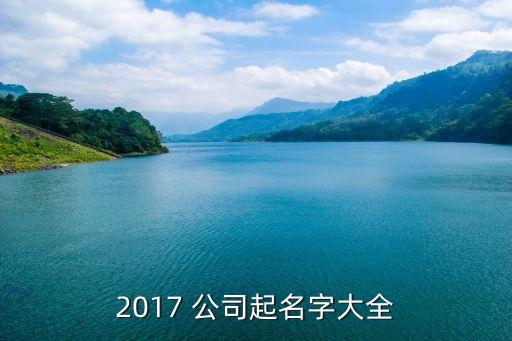 2017 公司起名字大全