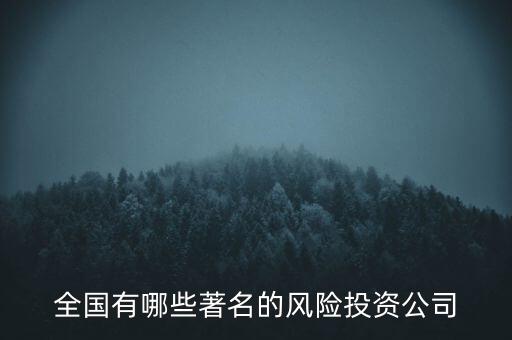 全國有哪些著名的風(fēng)險投資公司