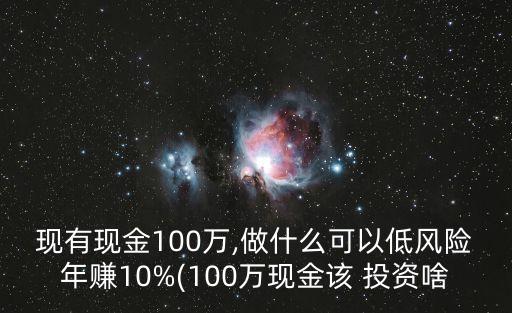 現(xiàn)有現(xiàn)金100萬(wàn),做什么可以低風(fēng)險(xiǎn)年賺10%(100萬(wàn)現(xiàn)金該 投資啥