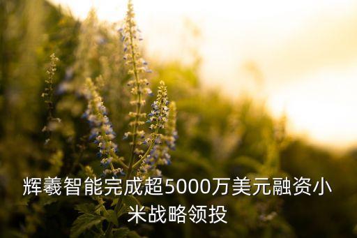 輝羲智能完成超5000萬美元融資小米戰(zhàn)略領投