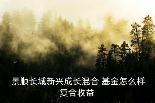  景順長(zhǎng)城新興成長(zhǎng)混合 基金怎么樣復(fù)合收益