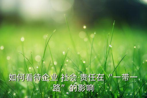 跨國公司的社會(huì)責(zé)任