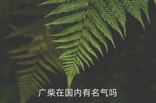 廣柴在國內(nèi)有名氣嗎