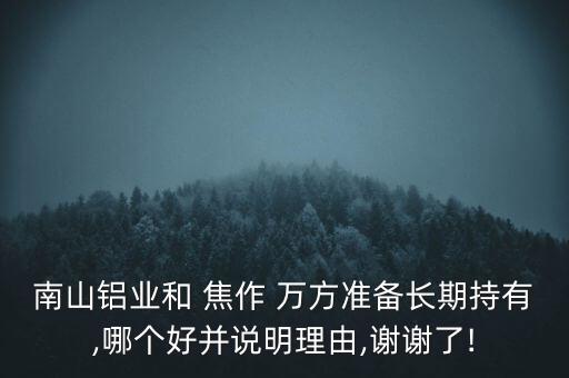 南山鋁業(yè)和 焦作 萬方準備長期持有,哪個好并說明理由,謝謝了!