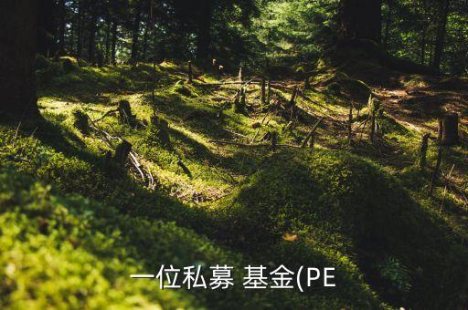 一位私募 基金(PE