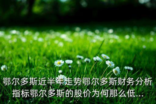 鄂爾多斯近半年走勢(shì)鄂爾多斯財(cái)務(wù)分析指標(biāo)鄂爾多斯的股價(jià)為何那么低...