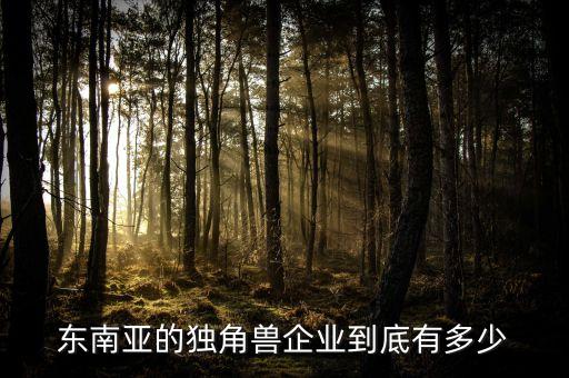 神秘的厚樸投資,厚樸投資董事總經(jīng)理