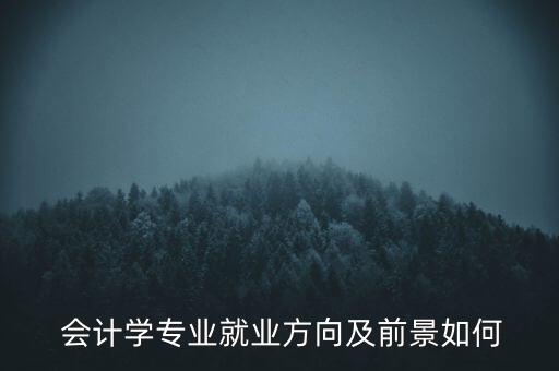  會(huì)計(jì)學(xué)專業(yè)就業(yè)方向及前景如何