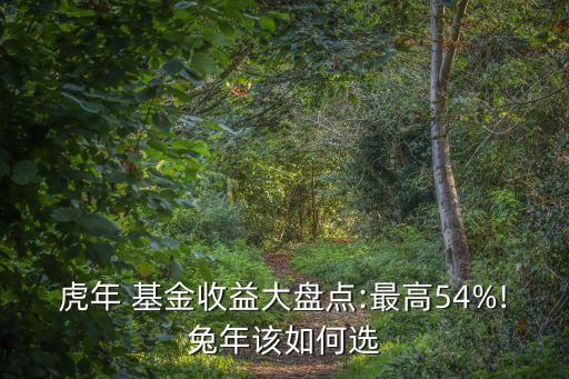 虎年 基金收益大盤點:最高54%!兔年該如何選