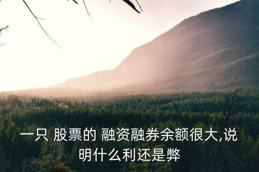 一只 股票的 融資融券余額很大,說明什么利還是弊