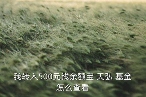 我轉(zhuǎn)入500元錢余額寶 天弘 基金怎么查看