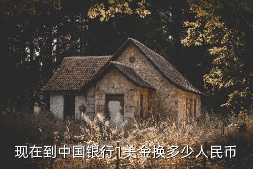 現(xiàn)在到中國銀行1美金換多少人民幣