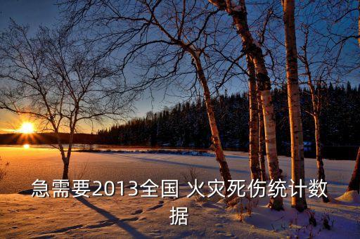 急需要2013全國 火災死傷統(tǒng)計數(shù)據(jù)