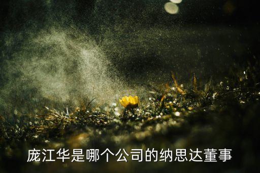 龐江華是哪個公司的納思達董事