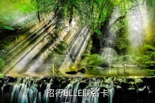 招行ELLE聯(lián)名卡