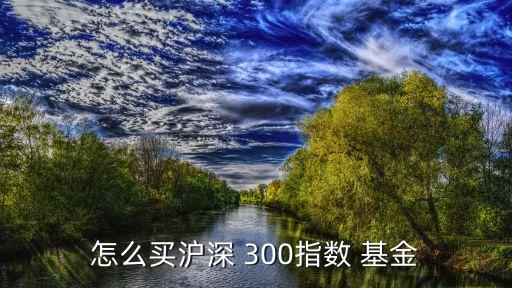 怎么買(mǎi)滬深 300指數(shù) 基金