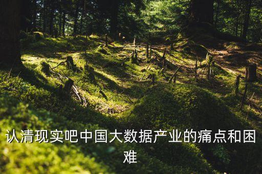 認清現(xiàn)實吧中國大數(shù)據(jù)產(chǎn)業(yè)的痛點和困難