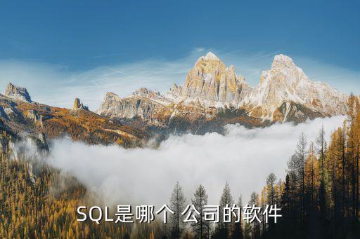 SQL是哪個 公司的軟件