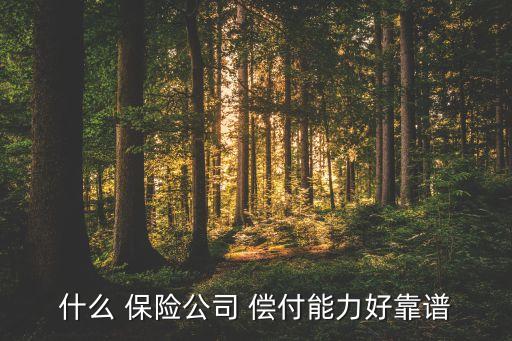 保險(xiǎn)公司最低償付率,華夏保險(xiǎn)公司償付率