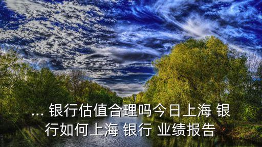 ... 銀行估值合理嗎今日上海 銀行如何上海 銀行 業(yè)績報告