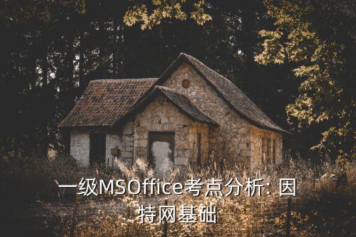 一級MSOffice考點(diǎn)分析: 因特網(wǎng)基礎(chǔ)