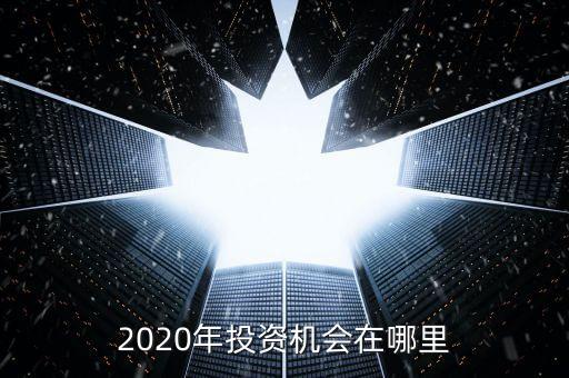 2020年投資機(jī)會在哪里