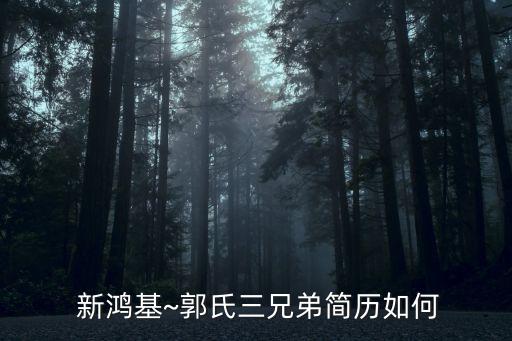 佛山新鴻基金融集團,香港新鴻基金融集團官方網(wǎng)